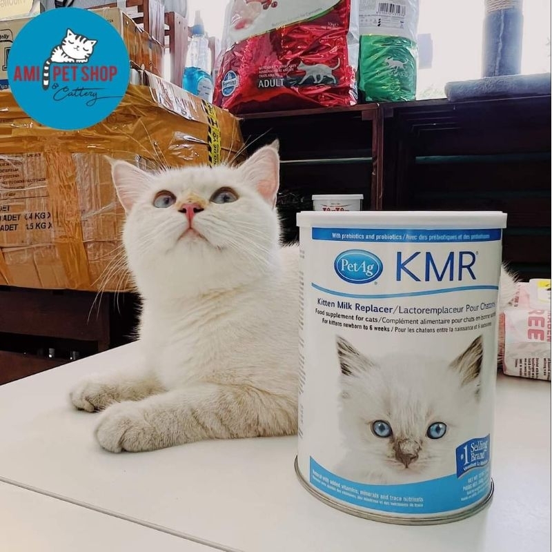 SỮA KMR - SỮA CAO CẤP CHO MÈO BẦU VÀ MÈO CON