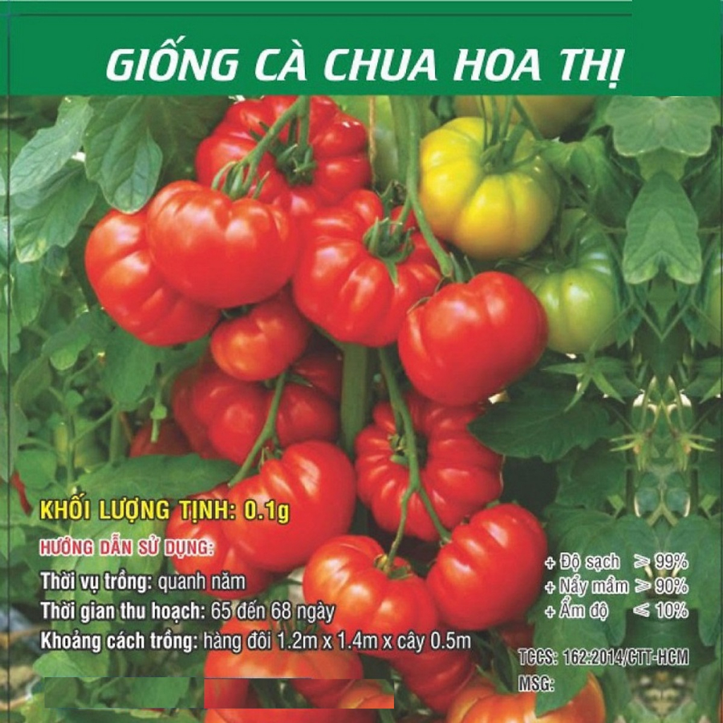Hạt giống cà chua hoa thị (cà chua bí ngô) F1- năng suất cao dễ trồng, gói 0.1gr khoảng 50 hạt