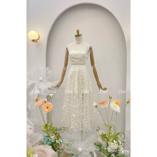 Set bướm tiểu thư