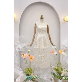 Set bướm tiểu thư