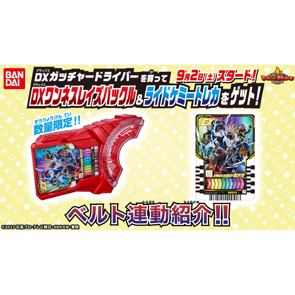 Dx Oneness Raise Buckle