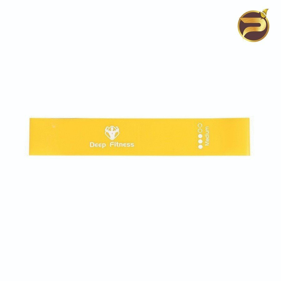 Dây Kháng Lực Dây MiniBand Tập Mông Chân Tập Tay