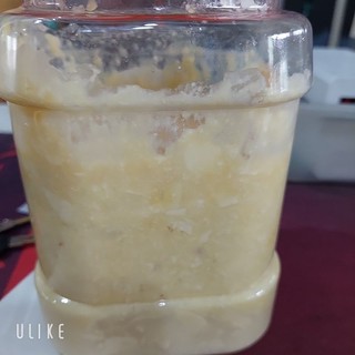 [Phomai Ủ Mồi Câu Cá] Phomai Hăng Thúi Thủm Hủ 1kg