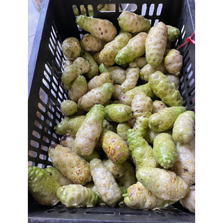 nhàu ngâm mật ong rừng