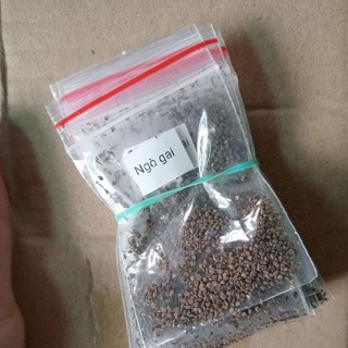 Hạt giống rau gia vị (túi zip 5k)