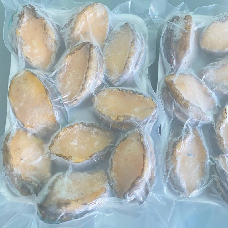 Bào Ngư Hàn Quốc net đủ size 20 con/kg