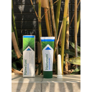 Kem Bôi Trĩ Hametum Hamorrhoidensalbe Đức, 25 g