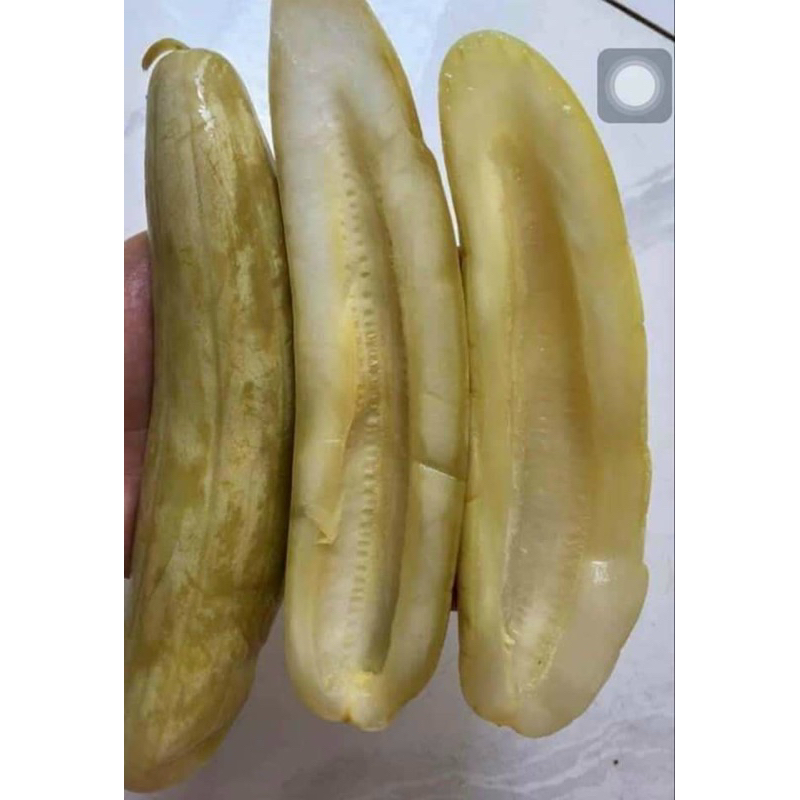 DƯA GANG MUỐI CHUA QUẢNG NAM, RẤT GIÒN NGON VÀ HẤP DẪN