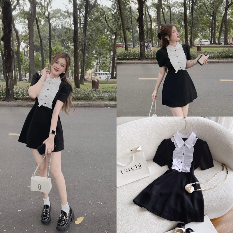 ĐẦM ĐEN PHỐI CỔ TRẮNG BÈO