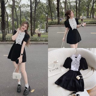 Đầm đen phối cổ trắng bèo