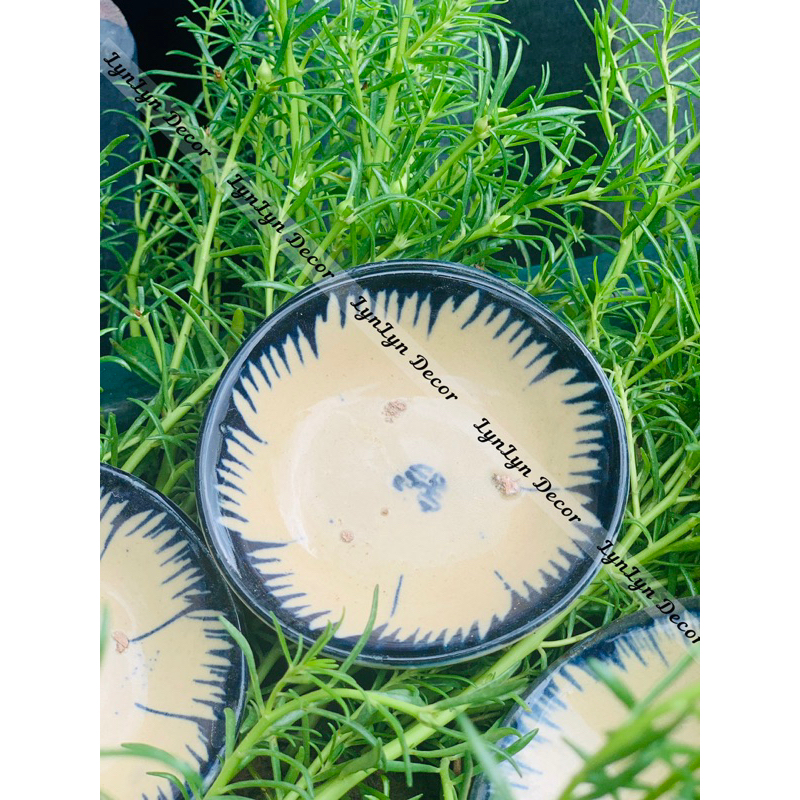 Sỉ chén nước chấm chén bánh bèo xưa siêu cute