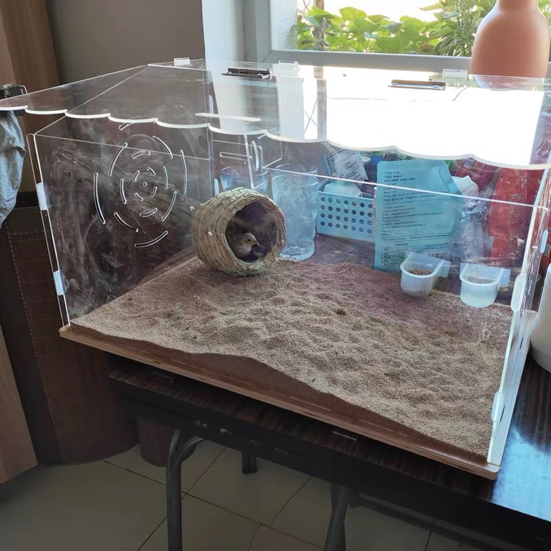 Lồng chuồng chuột hamster hình ngôi nhà gỗ mix nhựa mica