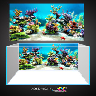 Tranh dán bể cá 3d - tranh dán hồ cá mẫu san hô siêu đẹp và nét, có keo sẵn trên bề mặt, in theo KT yêu cầu AQB23-480