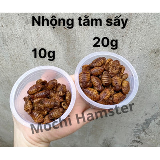 Nhộng tằm sấy cho hamster