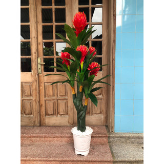 Cây giả cây đại lộc giả trang trí nhà cửa bền đẹp cây giả trang trí