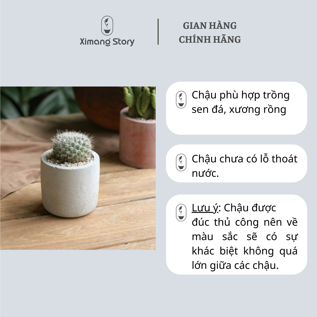 Chậu xi măng mini trồng sen đá, xương rồng