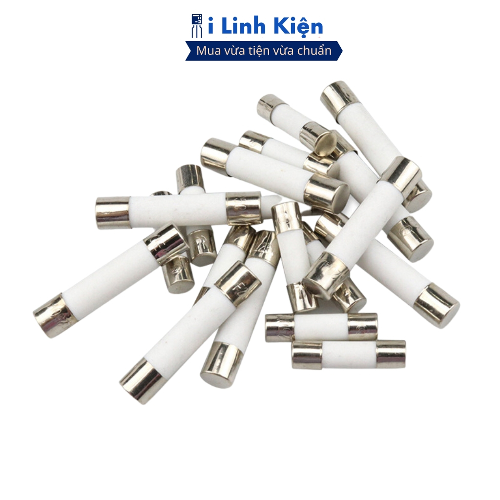 Cầu chì sứ 5x20mm 6x30mm túi 10 con chất lương ilinhkien