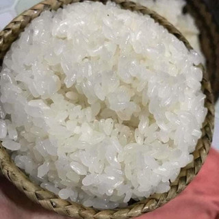 Gạo Nếp Tan Điện Biên combo 5kg