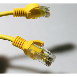 Dây cáp mạng đúc sẵn 1m