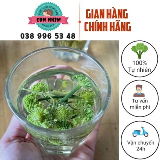 Nụ hoa tam thất nhà mới đóng gói hàng chuẩn loại 1