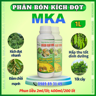 Kích đọt mekongagri