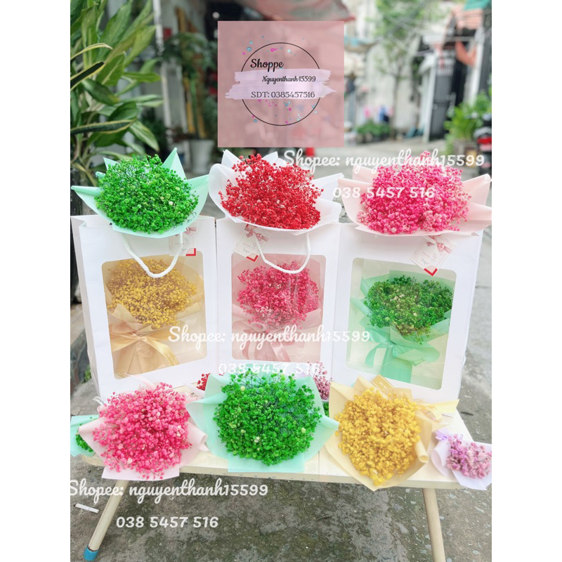 SET HOA KÈM TÚI - hoa baby khô - quà tặng thầy cô, bạn bè, văn phòng♥️FREESHIP♥️