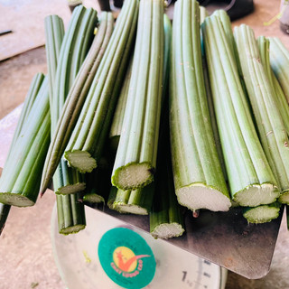 500g lưỡi hổ ngà voi tươi - hỗ trợ giảm đau nhức xương khớp