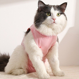 Áo hậu phẫu (COTTON) cho thú cưng