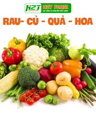 Hạt giống Rau, Hoa trồng chậu, rau ăn lá, dây leo gói lớn - Hạt giống - h2t farm