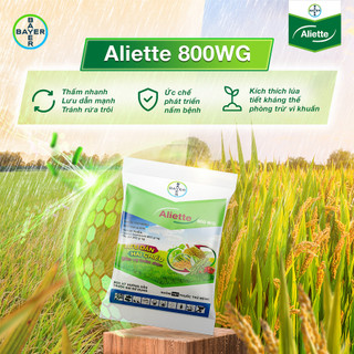 Chế phẩm trừ nấm bệnh cao cấp Aliette 800Wg gói 100g