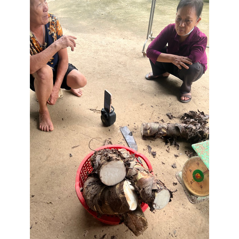 Củ Bạc Hà Núi lâu năm 5kg