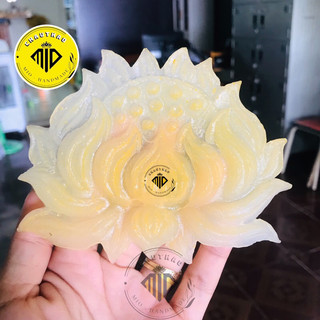 [Mio] HOA SEN - ĐÀI SEN 3D Trang trí