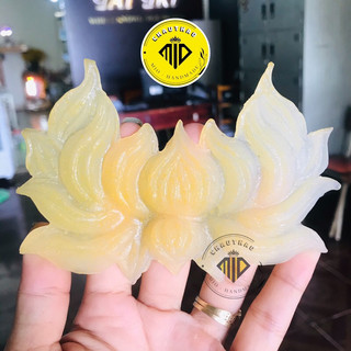 [Mio] HOA SEN - ĐÀI SEN 3D Trang trí