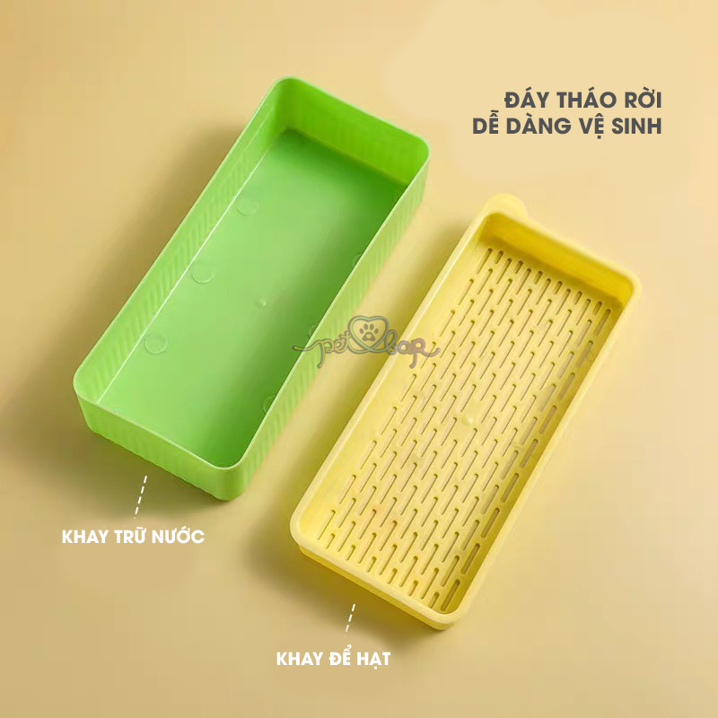 Bộ kit trồng cỏ mèo tươi tại nhà giúp bổ sung chất xơ tự nhiên, tiêu búi lông và làm sạch miệng