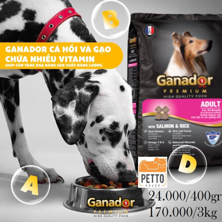 [pettohouse gò vấp] thức ăn cho chó trưởng thành Combo 2gói Ganador premium salmon and rice 3kg cá hồi và gạo chuẩn pháp