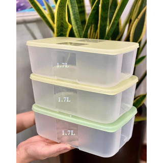 Hộp Đông Lẻ Tách Set Tupperware (01 Hộp)