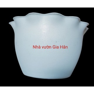 Chậu ốp tường trắng