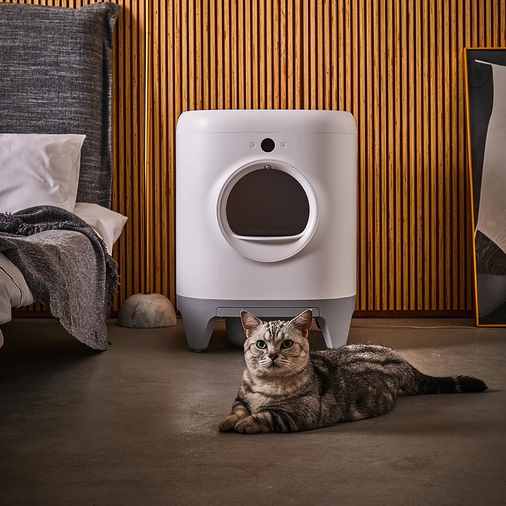 MÁY DỌN PHÂN TỰ ĐỘNG - PETKIT PURA X