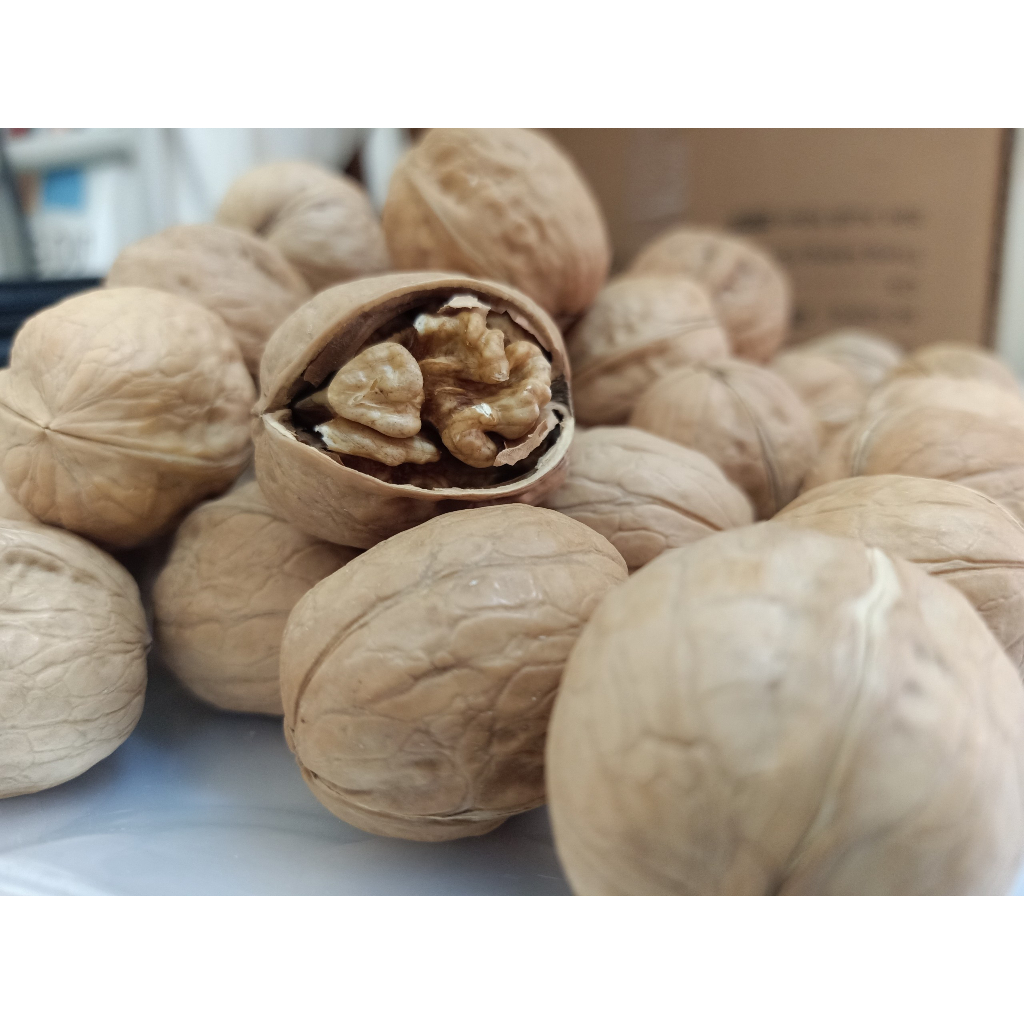 ÓC CHÓ GIẤY VỎ TRẮNG LOẠI 1 THƠM NGON, Quả óc chó