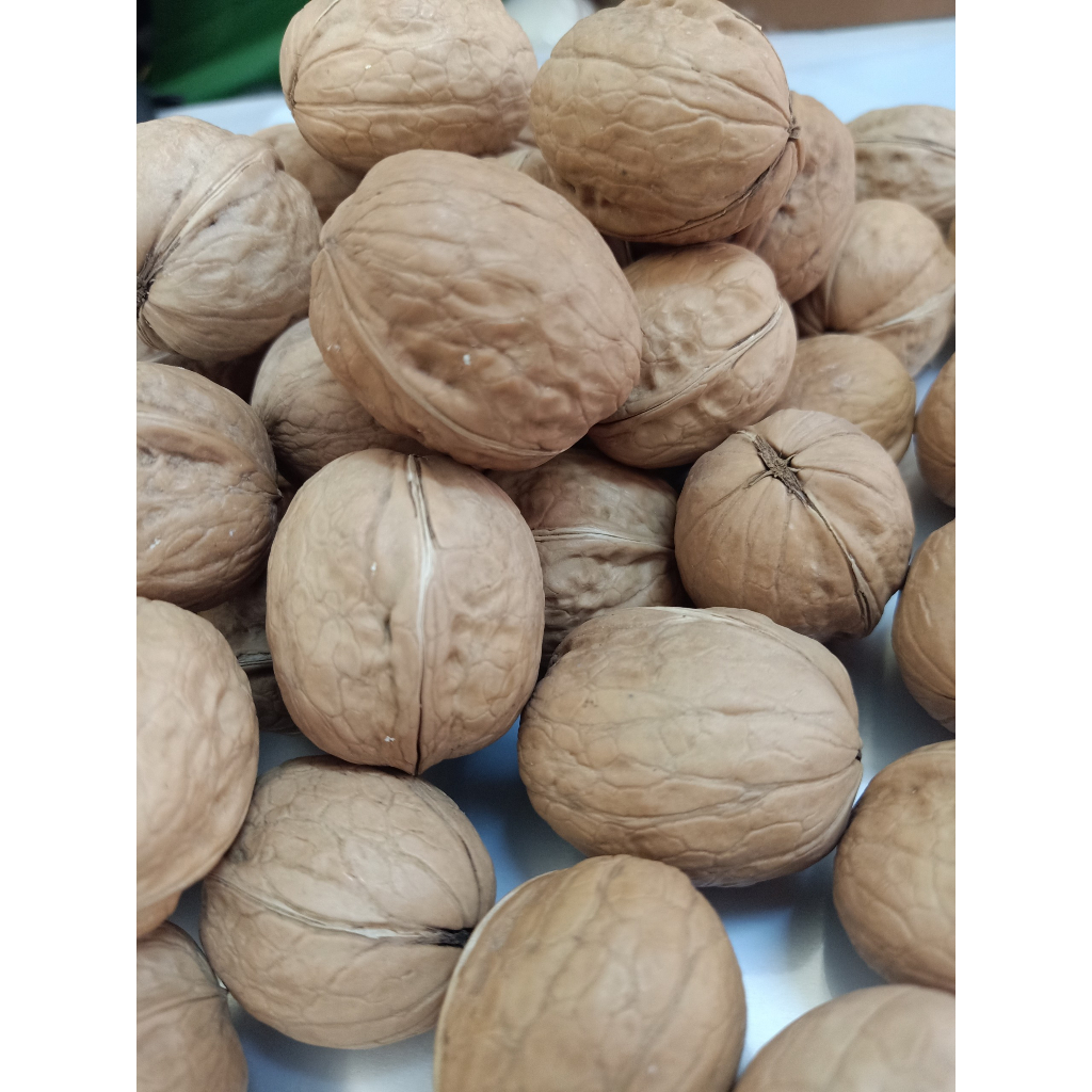 ÓC CHÓ GIẤY VỎ TRẮNG LOẠI 1 THƠM NGON, Quả óc chó