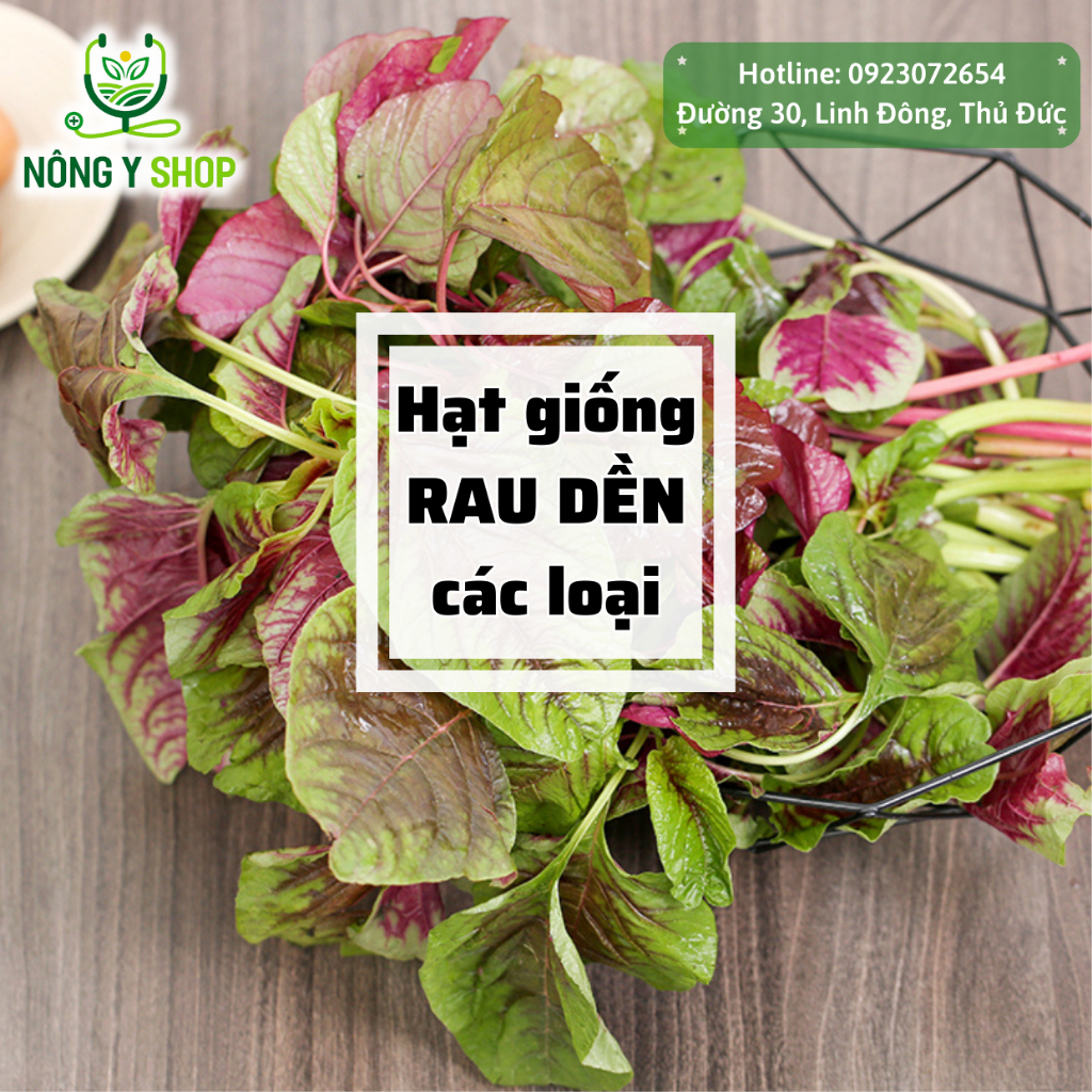 Hạt giống các loại rau dền Rạng Đông, rau dền đỏ, rau dền ba màu, rau dền cơm, gói lớn, gói trồng thử