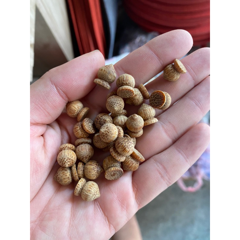 1 Viên Bi gắn nóc, gắn chân lồng chim chào mào cao cấp