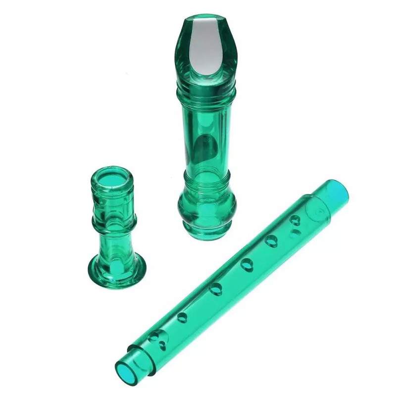 50 SÁO RECORDER MÀU TRONG SUỐT TN