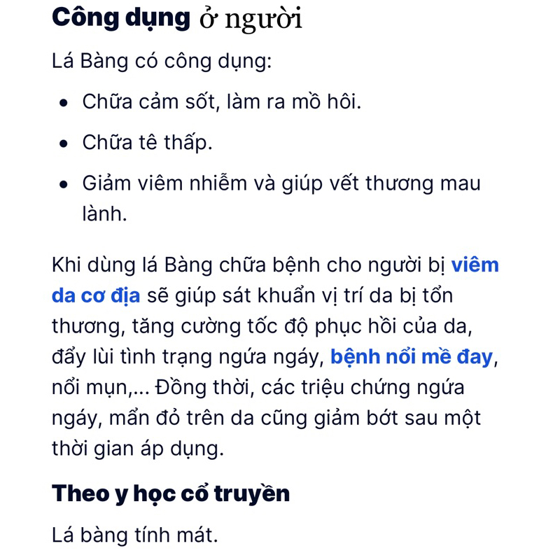 LÁ BÀNG KHÔ / TƯƠI
