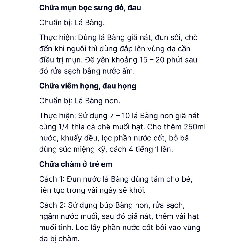 LÁ BÀNG KHÔ / TƯƠI