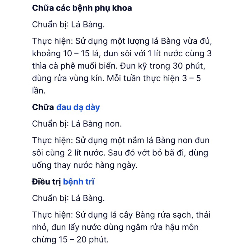 LÁ BÀNG KHÔ / TƯƠI