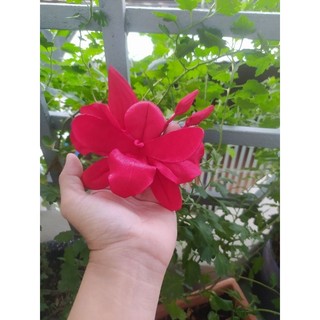 Hoa lan cài áo handmade Joli màu đỏ size 12cm