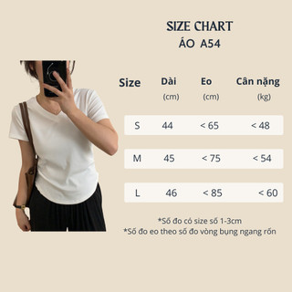 Áo phông nữ nhún eo cổ tim ♥️lenogi♥️ áo thun cotton nữ cổ tim nhún eo a54