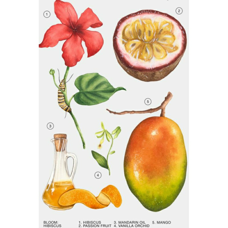 NƯỚC HOA HIBISCUS ZARA 90ml