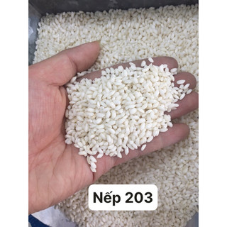 Gạo nếp 203 quê